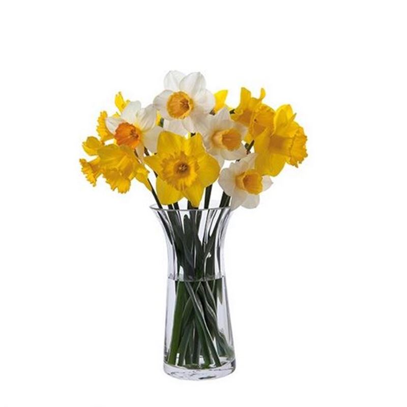 Dartington – Florabundance Crystal Daffodil Vase 22.5cm (Made in the U.K.)