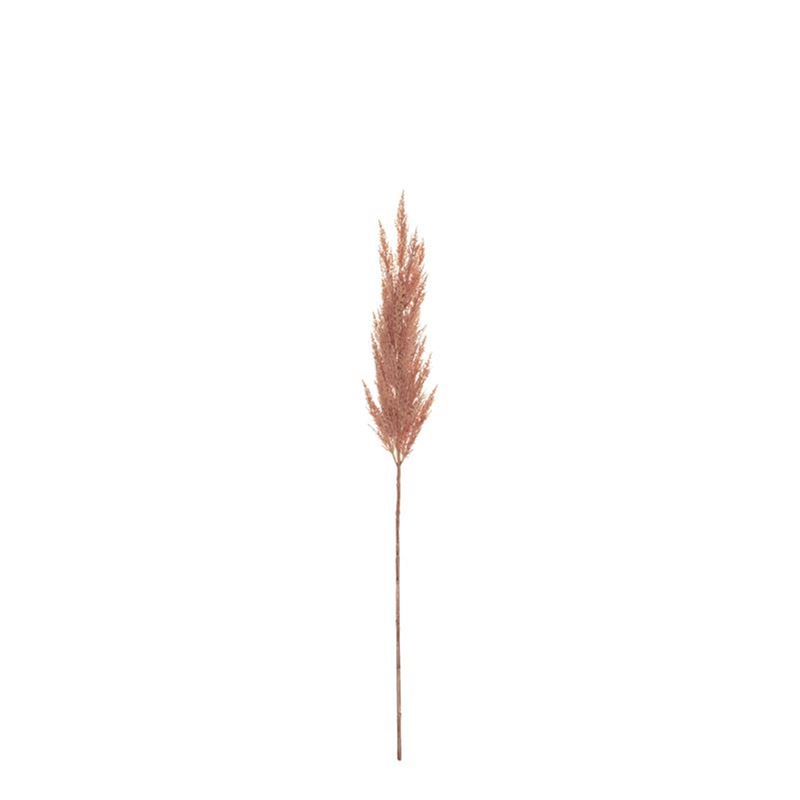 Rogue – Pampas Grass Spray 18x18x117cm Pink