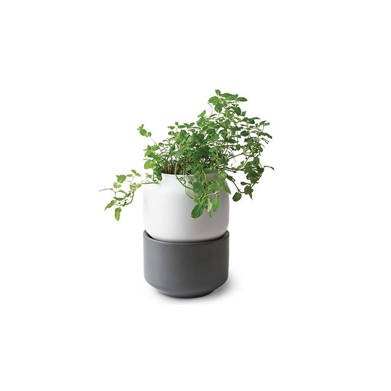 Chef’n – Self Watering Ceramic Herb Planter Small
