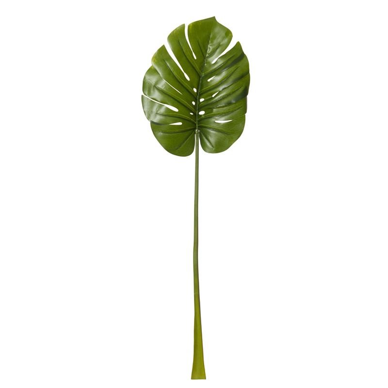 Rogue – Monsteria Leaf 30x10x110cm Green