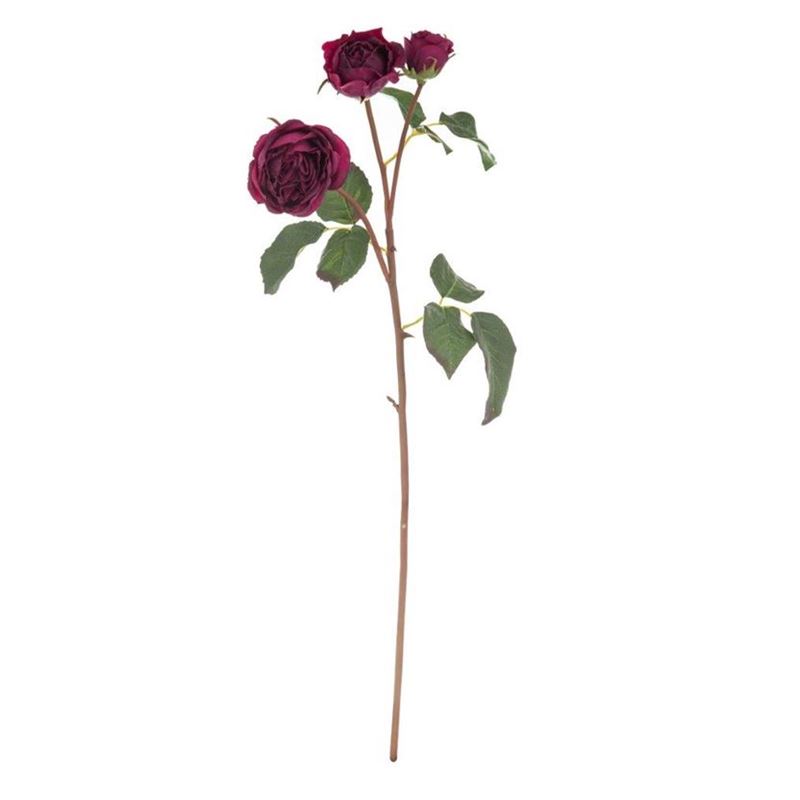Rogue – Ecuadorian Rose Spray Burgundy 15x15x52cm