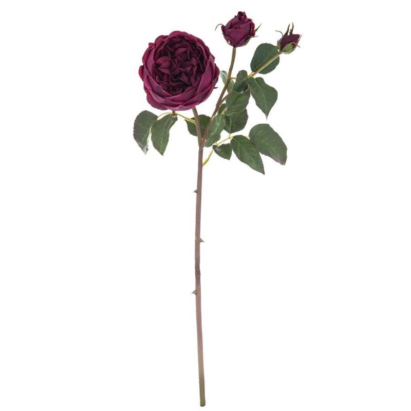 Rogue – English Rose Spray Burgundy 20x18x56cm