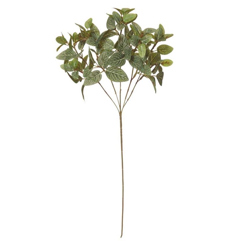 Rogue – Fittonia Leaf Spray Green 21x18x61cm