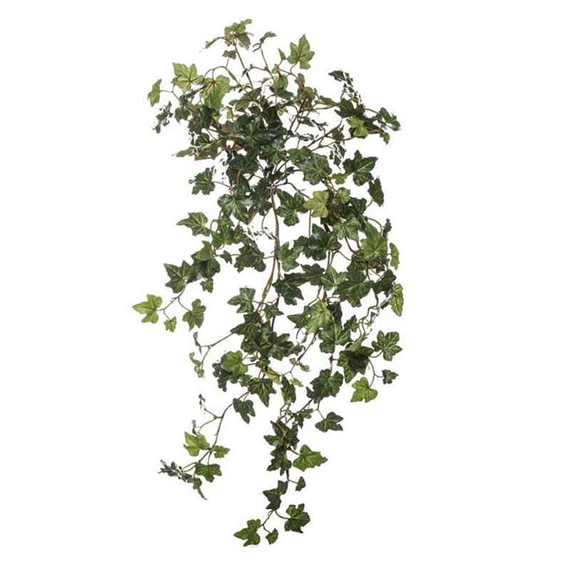 Rogue – Mini English Ivy Bush Hanging Green 30x30x60cm