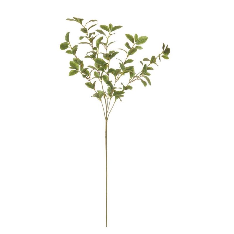 Rogue – Pittosporum Leaf Spray Green 25x18x61cm