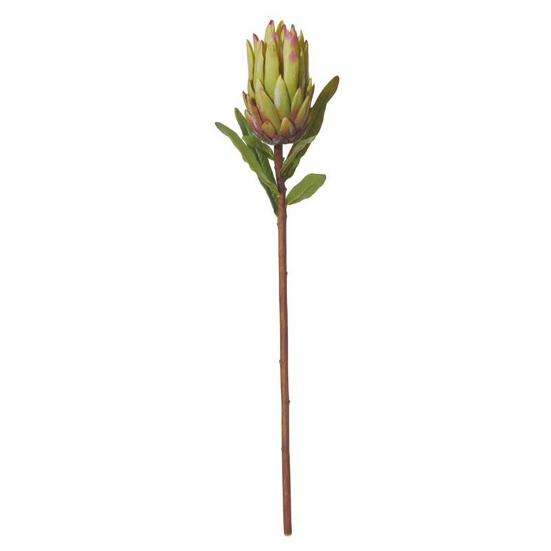 Rogue – Protea Stem Green 20x15x60cm