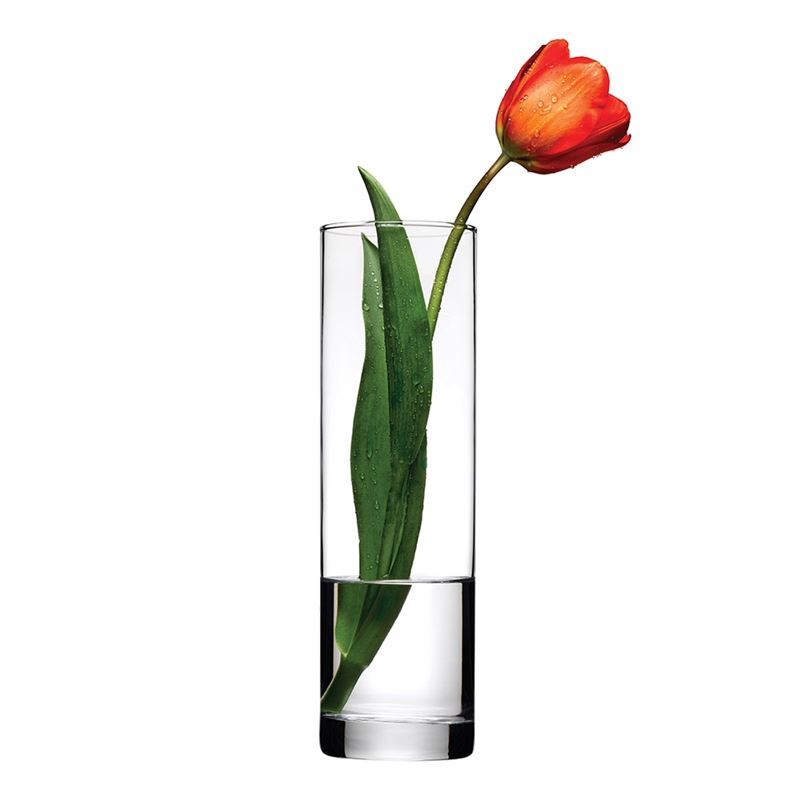 Pasabahce – Botanica Cylinder Glass Vase 26.5cm (Made in Turkey)