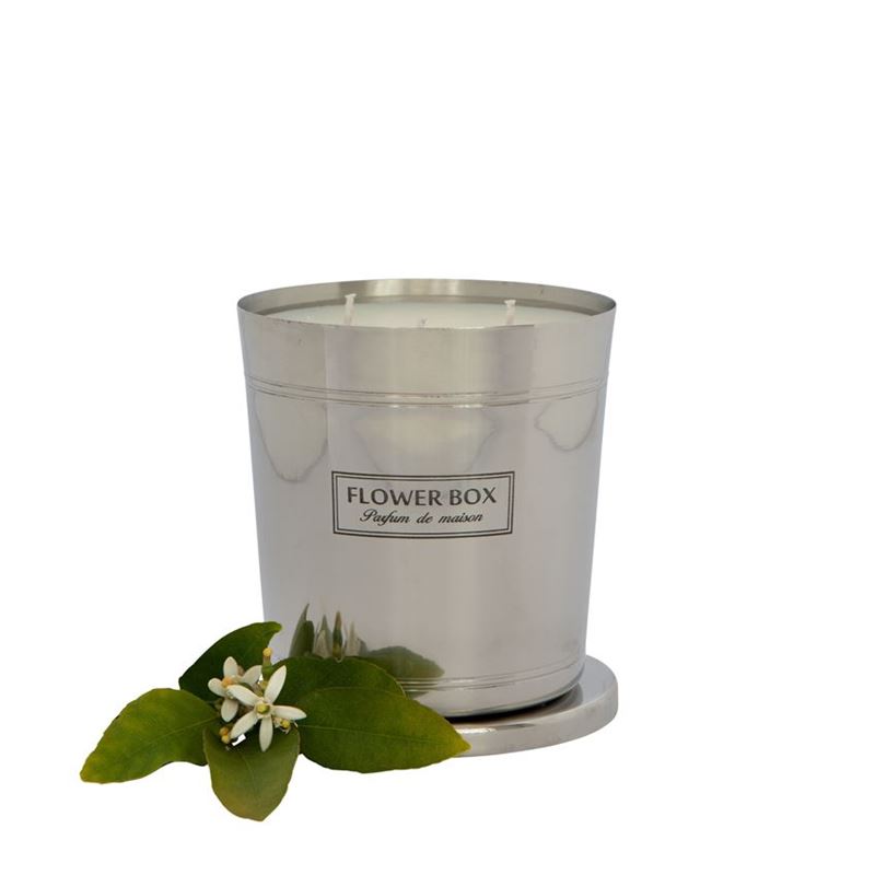 Flower Box – Fig Leaf & Cedar Hallmark Candle 1000g