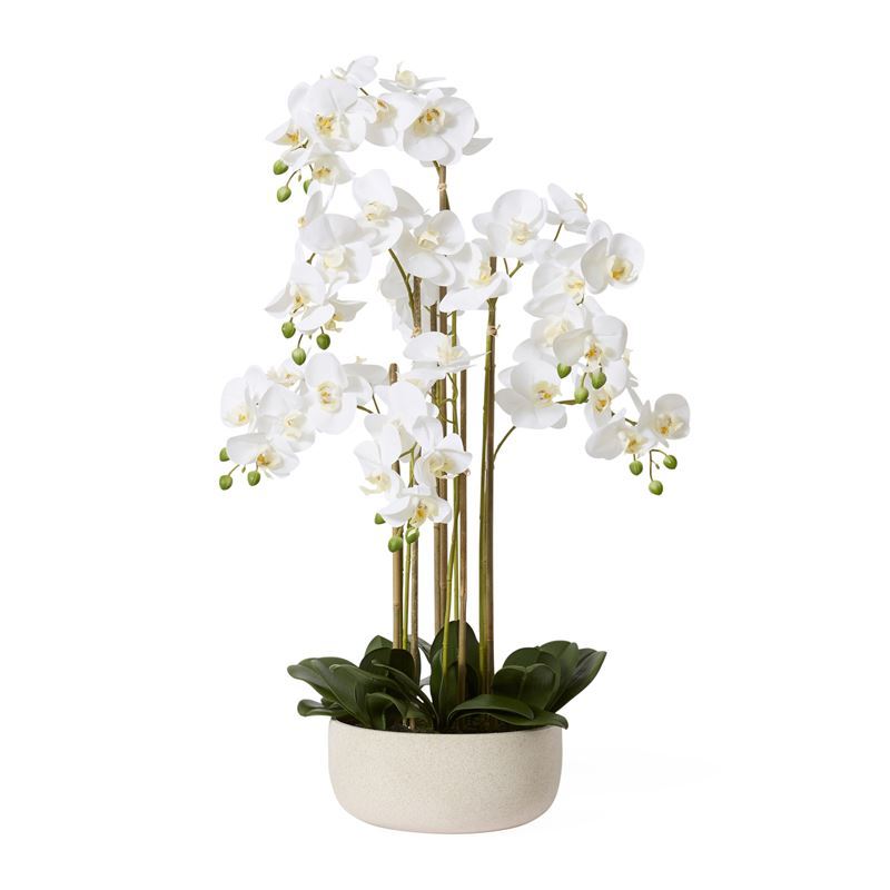 Elme Living – Phalaenopsis Round Bowl 60x90cm White Cream
