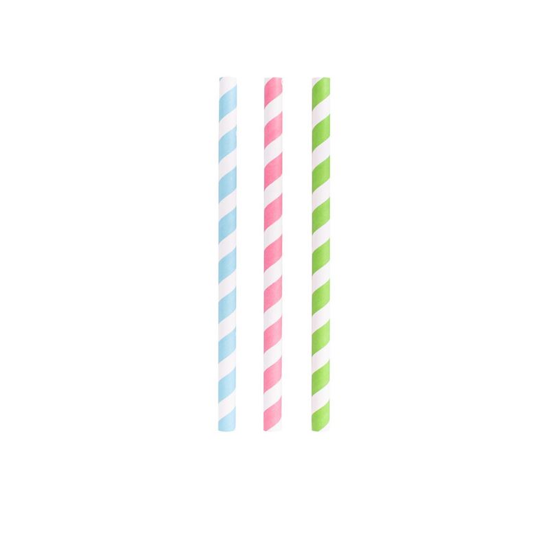 Avanti – Rainbow Stripe Smoothie 23cm Paper Straws Set of 24