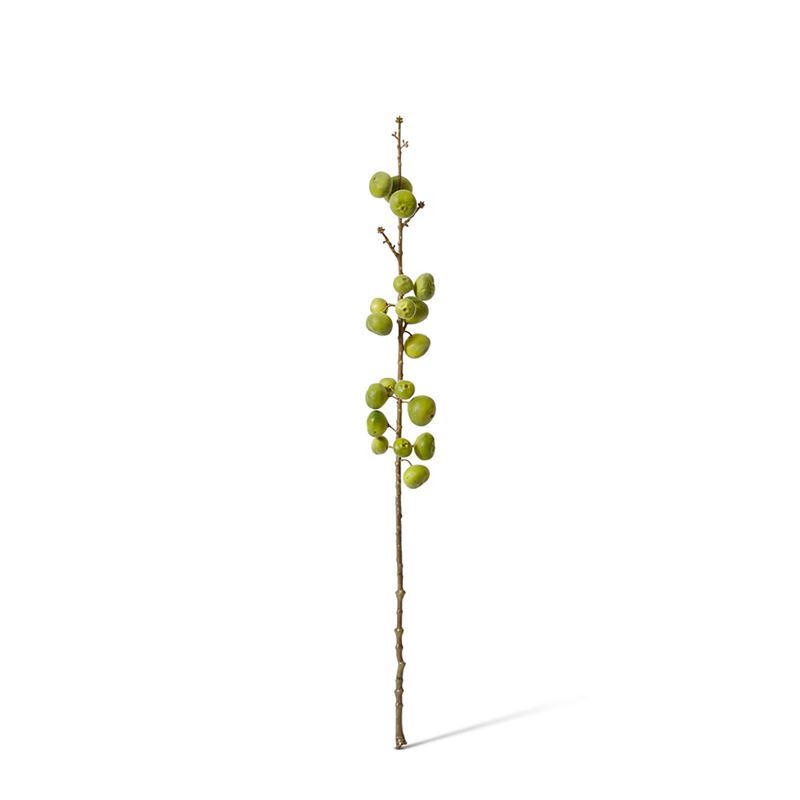 Elme Living – Fig Stem 15x15x74cm