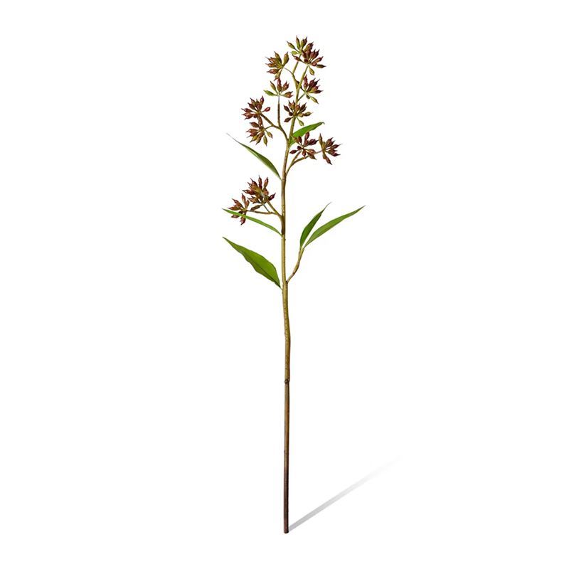 Elme Living – Eucalyptus Jarrah Seed Spray 24x11x74cm Burgundy