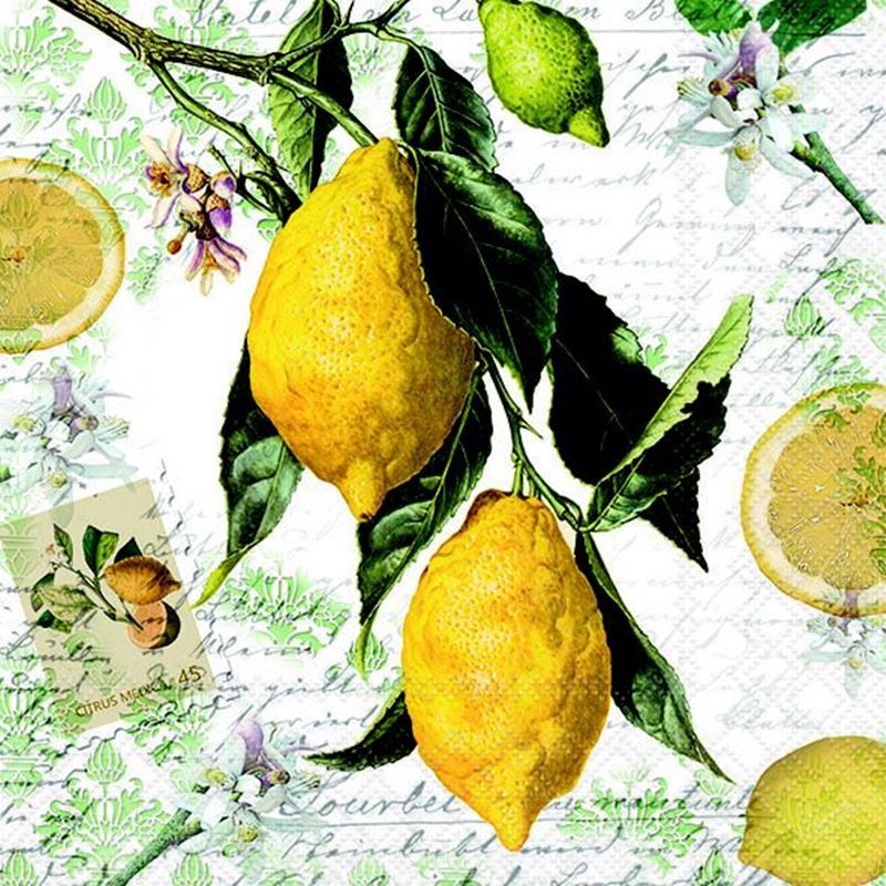 Paperie – Ambiente Luncheon 3-Ply 33x33cm Paper Napkins Pack of 20 Lemon (Made in the Netherlands) Paperie – Ambiente Luncheon 3-Ply 33x33cm Paper Napkins Pack of 20 Lemon (Made in the Netherlands)
