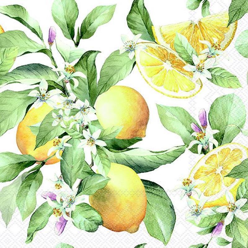 Paperie – Ambiente Luncheon 3-Ply 33x33cm Paper Napkins Pack of 20 Limoni (Made in the Netherlands)