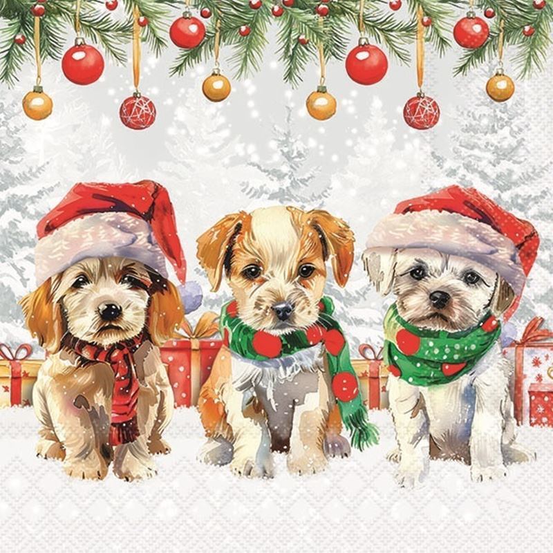 Paperie – Ambiente Luncheon 3-Ply 33x33cm Paper Napkins Pack of 20 Funny Cute Puppies (Made in the Netherlands)