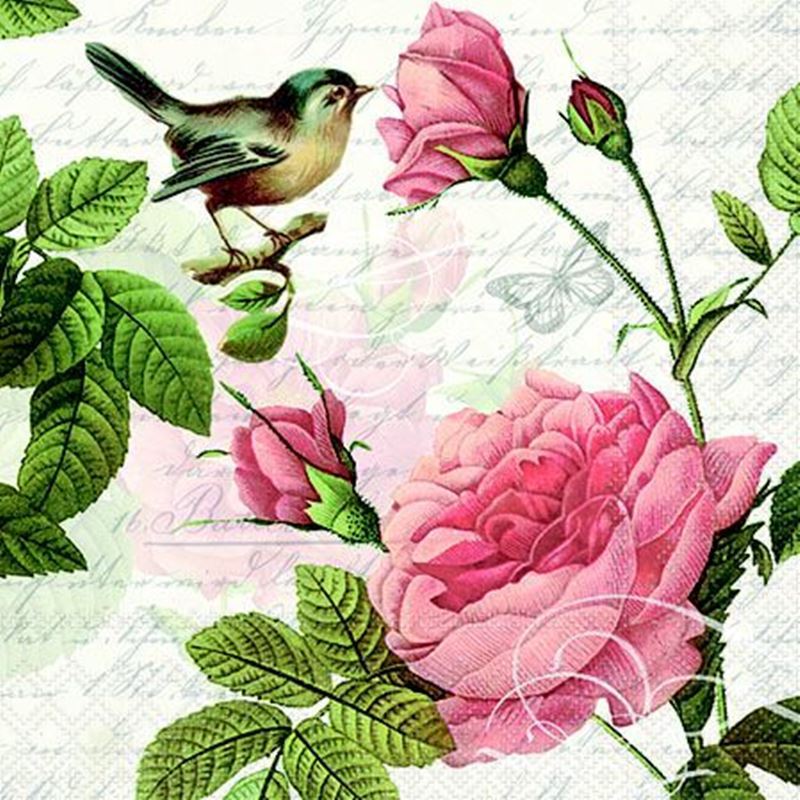 Paperie – Ambiente Cocktail 3-Ply 25x25cm Paper Napkins Pack of 20 Sophie  (Made in the Netherlands)