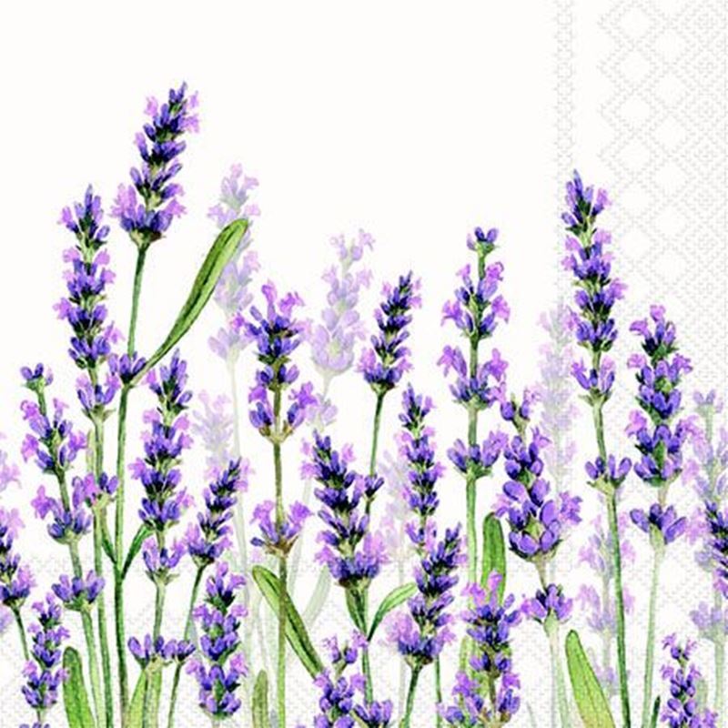 Paperie – Ambiente Cocktail 3-Ply 25x25cm Paper Napkins Pack of 20 Lavender Shades White  (Made in the Netherlands)