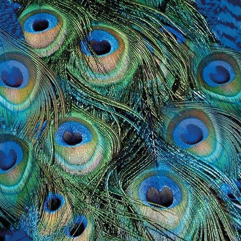 Paperie – Ambiente Luncheon 3-Ply 33x33cm Paper Napkins Pack of 20 Peacock Feathers (Made in the Netherlands) Paperie – Ambiente Luncheon 3-Ply 33x33cm Paper Napkins Pack of 20 Peacock Feathers (Made in the Netherlands)