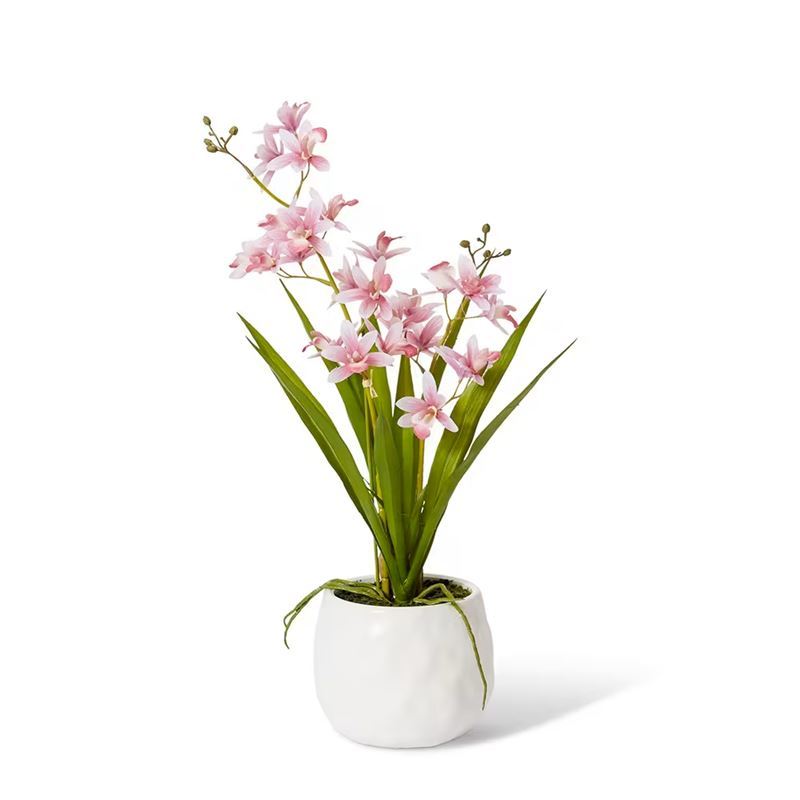 Elme Living – Cymbidium Mini Pink/White 17x11x46cm