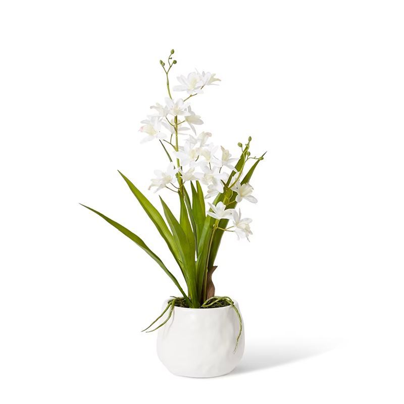 Elme Living – Cymbidium Mini White/White 17x11x46cm