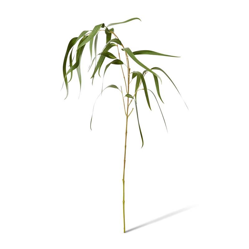 Elme Living – Eucalyptus Gum Spray Green 23x16x112cm