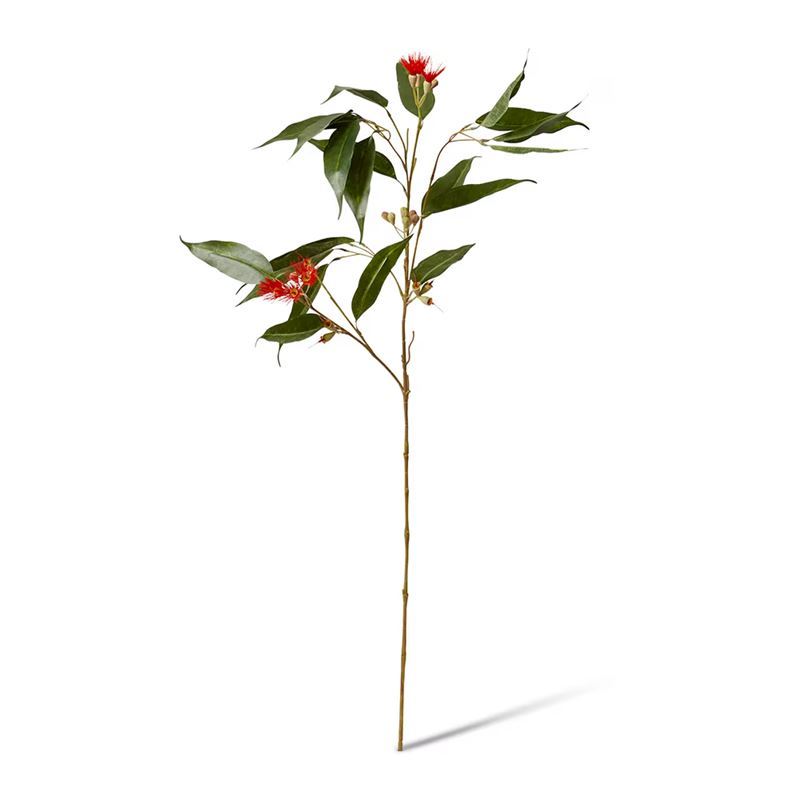 Elme Living – Eucalyptus Flowering Spray Red/Green 30x14x91cm