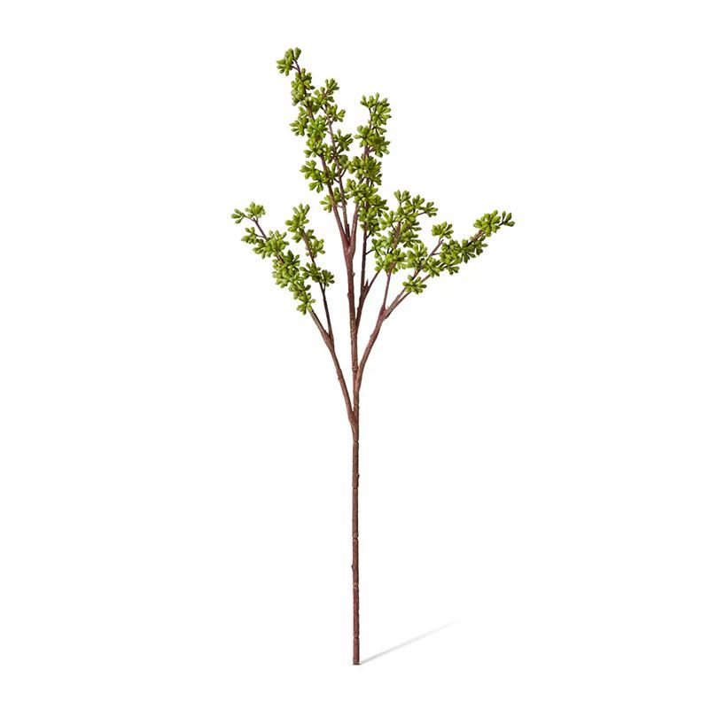 Elme Living – Eucalyptus Seeding Spray Green 20x20x62.23cm
