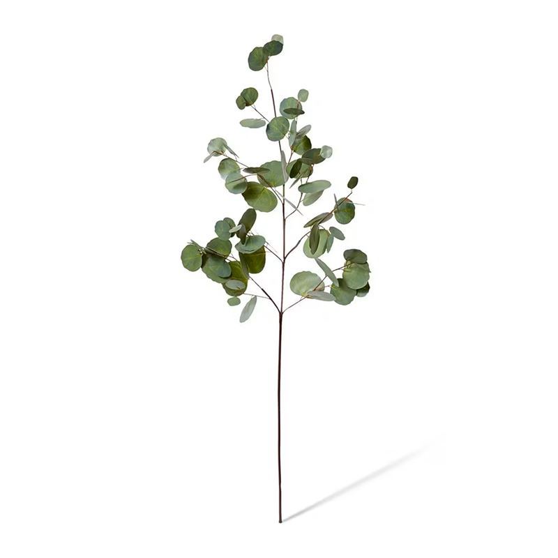 Elme Living – Eucalyptus Silver Dollar Spray Green 35x25x99cm