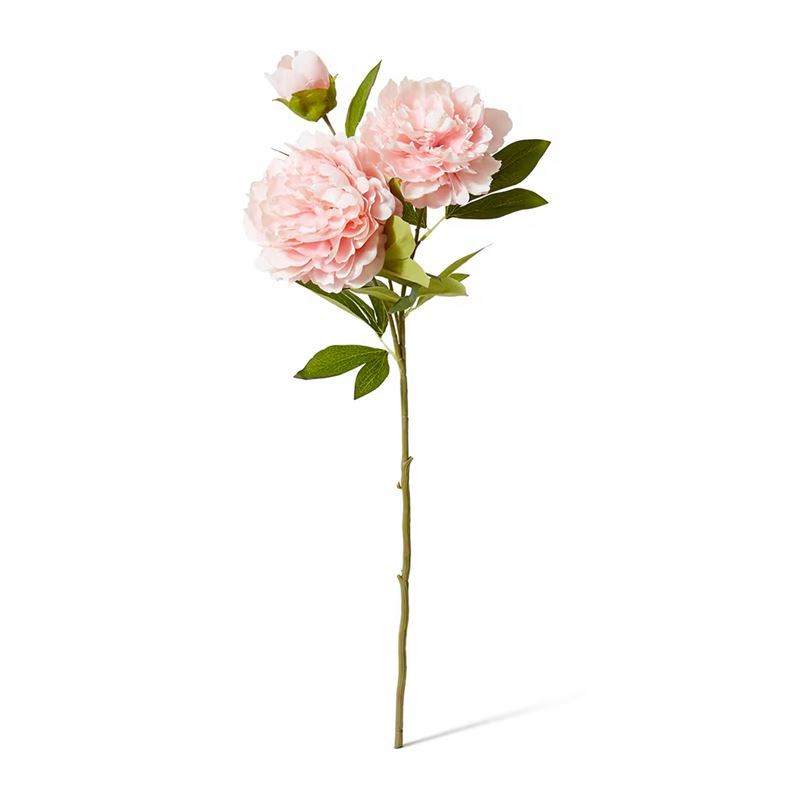 Elme Living – Queen Peony Spray Blush Pink 30x20x76cm