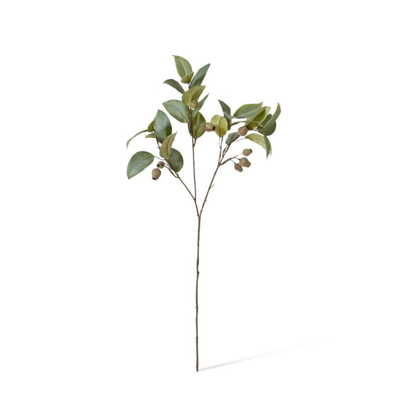 Elme Living – Eucalyptus Gum Nut Spray Green 20x6x84cm