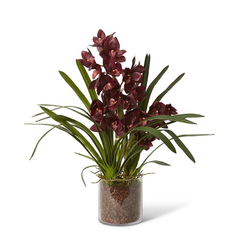 Elme Living – Cymbidium Luch Burgundy 71x74x79cm