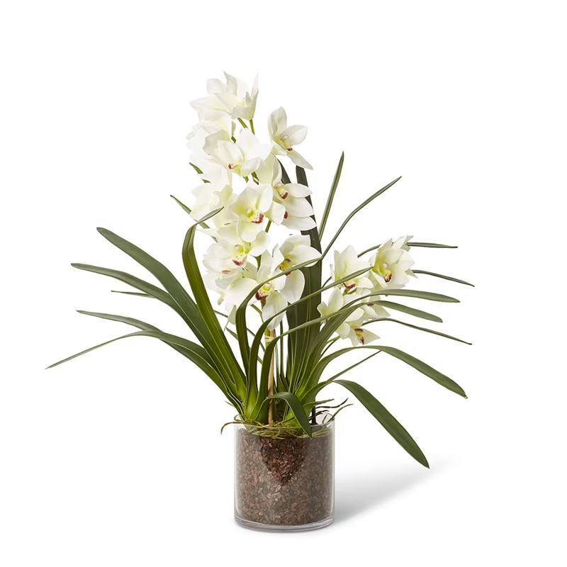 Elme Living – Cymbidium Luch White 71x74x79cm