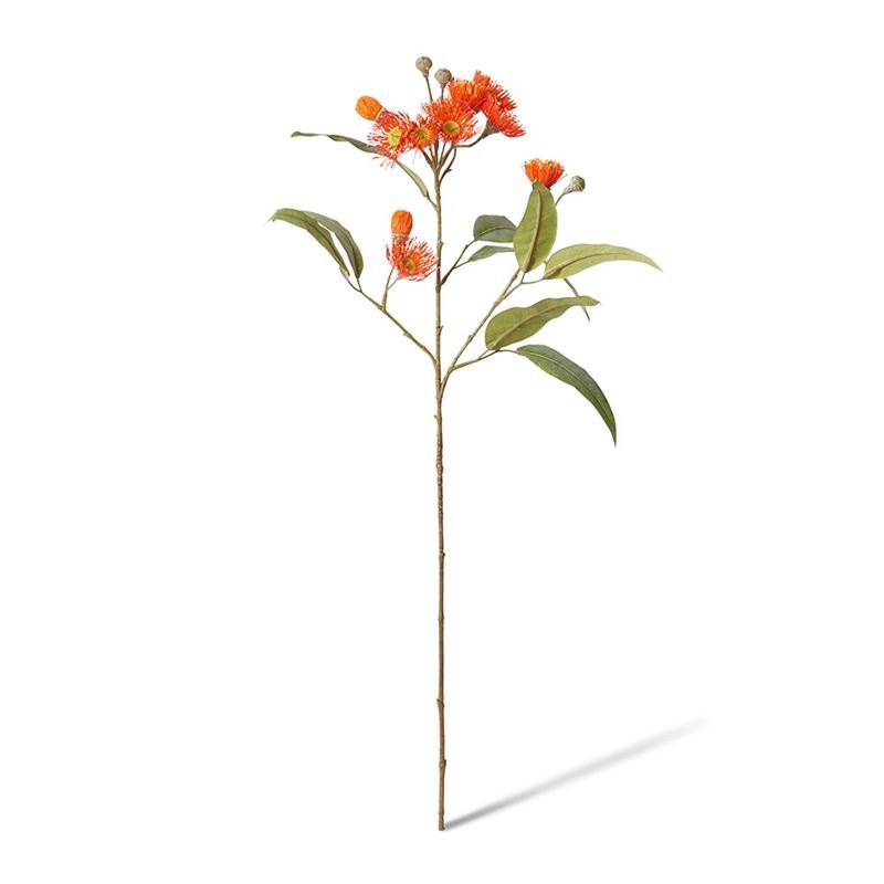 Elme Living – Eucalyptus Flowering Spray 17x8x76cm Orange