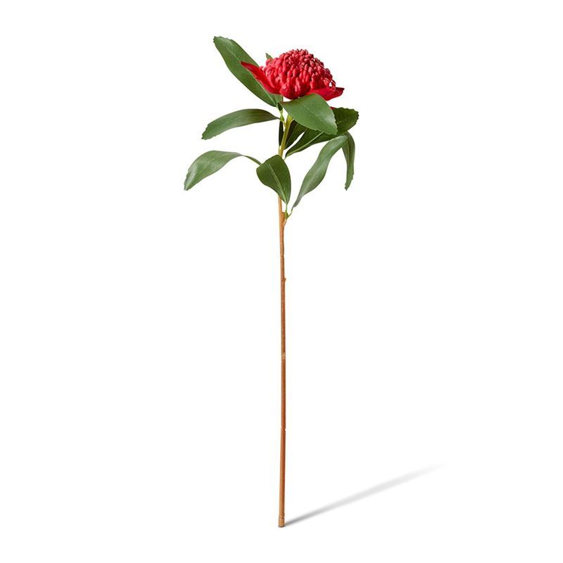Elme Living – Waratah Flower Stem 24x22x69cm Red