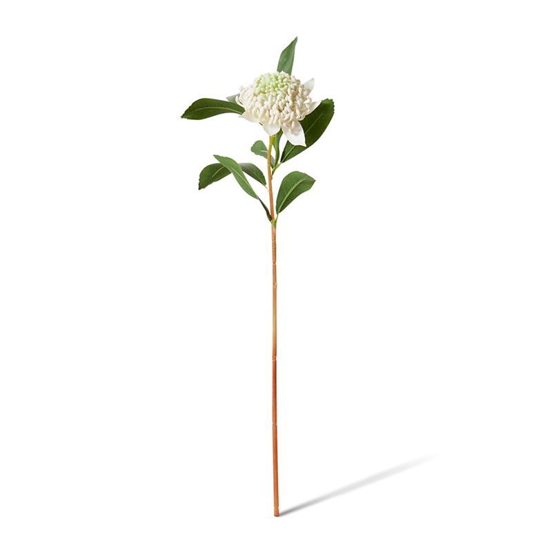 Elme Living – Waratah Flower Stem 24x22x69cm White