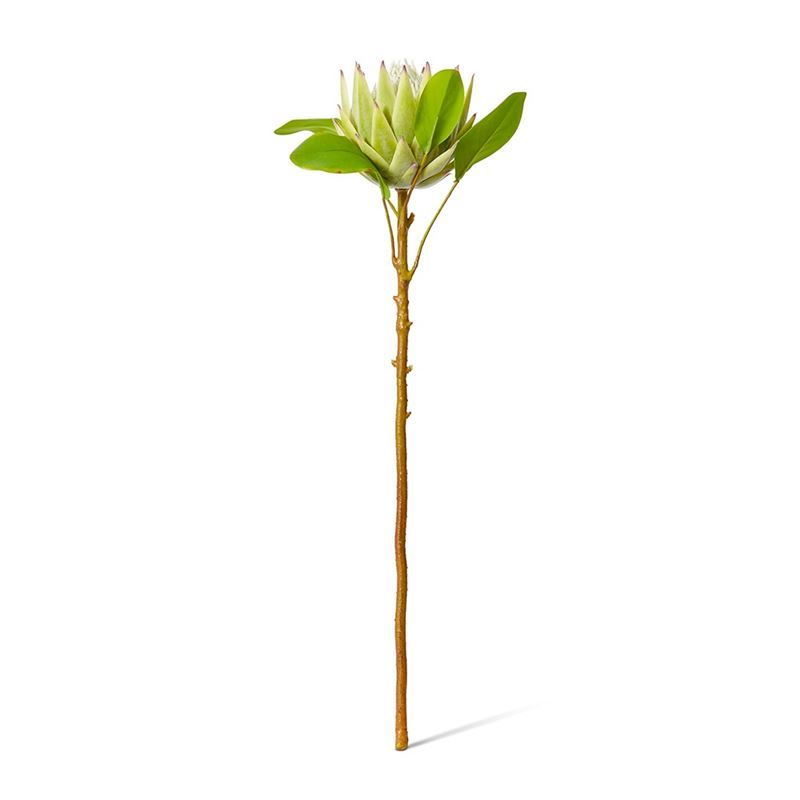 Elme Living – Protea King Stem 16x27x64cm Green