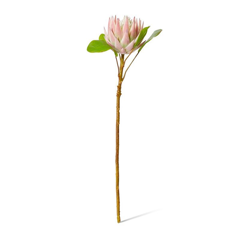 Elme Living – Protea King Stem 16x27x64cm Pink
