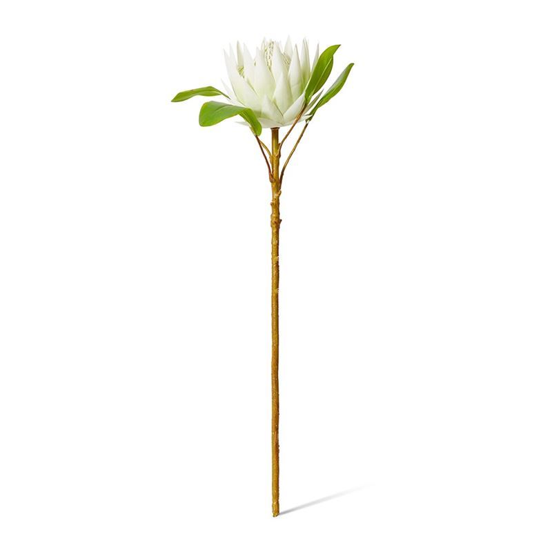 Elme Living – Protea King Stem 16x27x64cm White