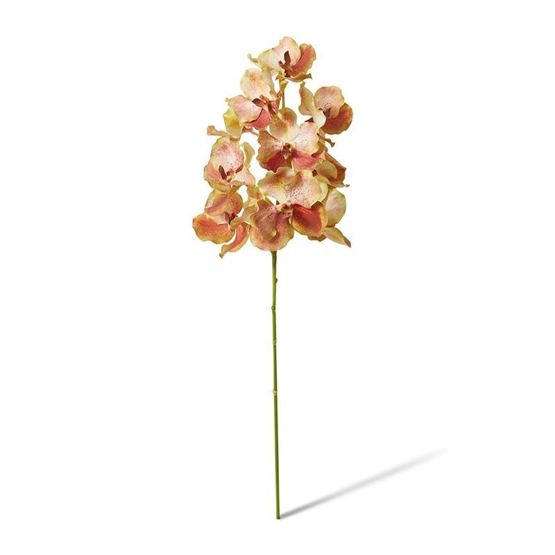 Elme Living – Vanda Grand Orchid 25x25x71cm Dusty Brown