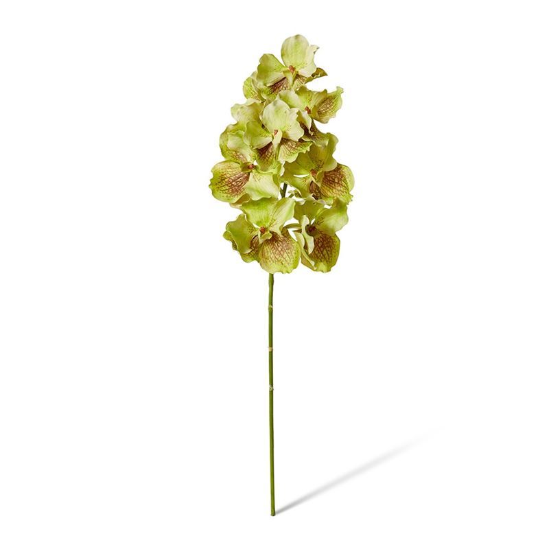 Elme Living – Vanda Grand Orchid 25x25x71cm Green Brown