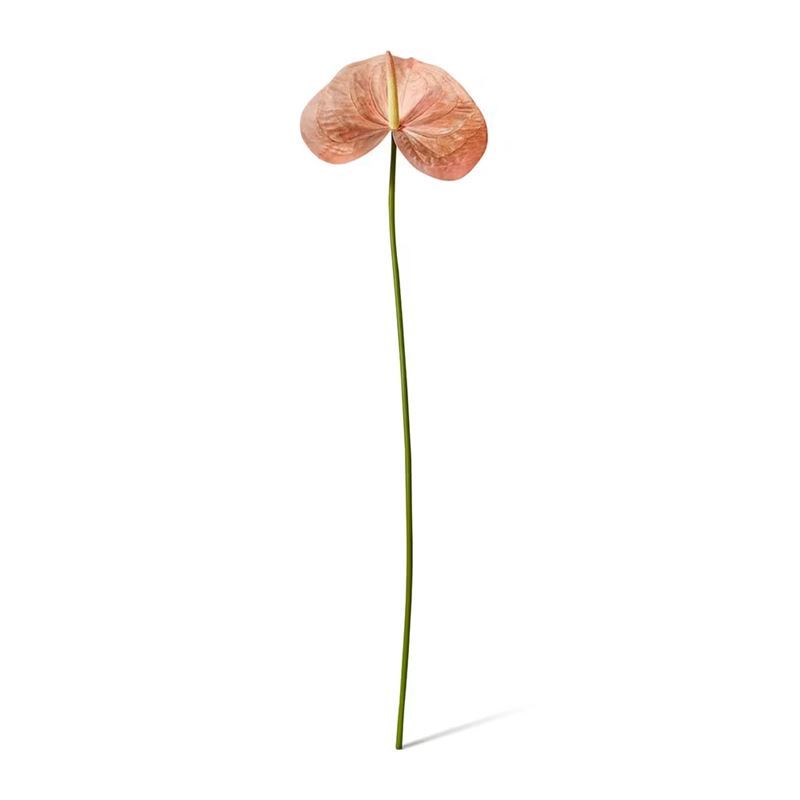 Elme Living – Anthurium Grand Stem 20x20x74cm Mauve