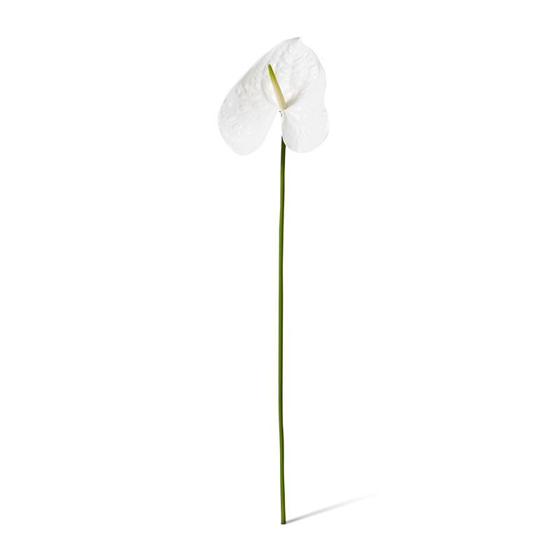 Elme Living – Anthurium Grand Stem 18x16x71cm White