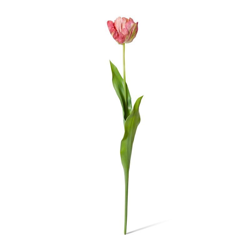 Elme Living – Tulip Artist Grand Stem 15x10x70cm Beauty