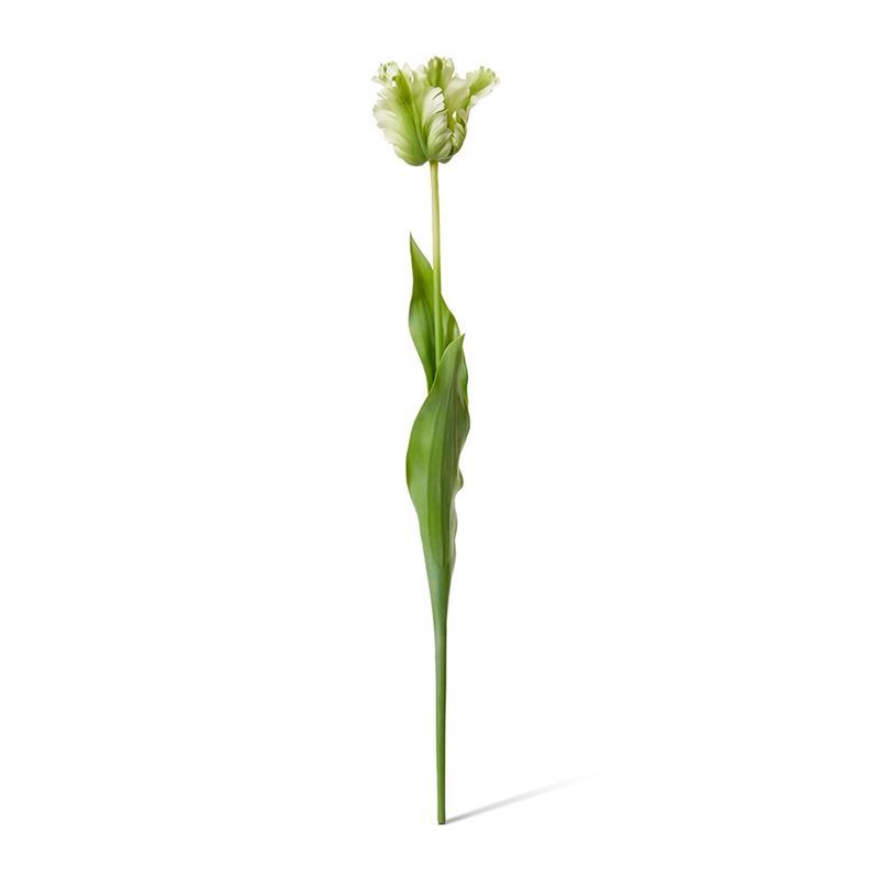 Elme Living – Tulip Parrot Stem 15x15x71cm Green