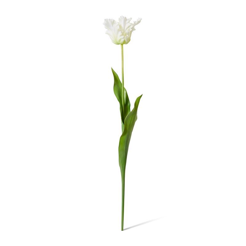 Elme Living – Tulip Parrot Stem 15x15x71cm White