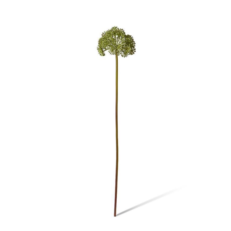 Elme Living – Angelica Stem 14x14x69cm Green