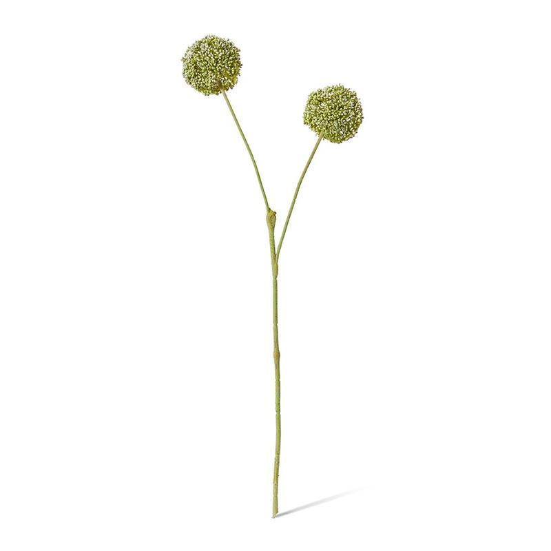 Elme Living – Allium Spray 15x12x67cm Green