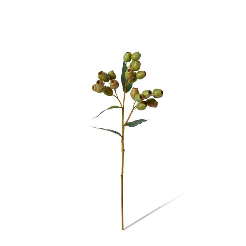 Elme Living – Gum Nut Spray 20x10x48cm Green