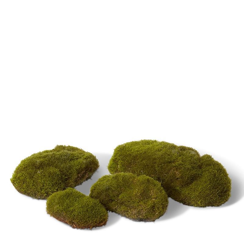 Elme Living – Moss Pad Grand Set of 4 Green